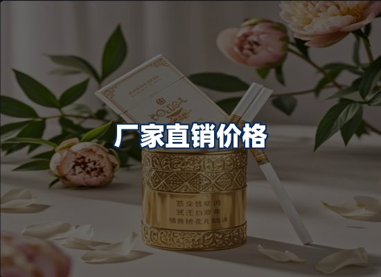 专业团队办公环境